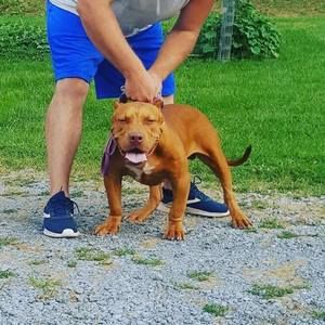 Meet your Posher, Jason